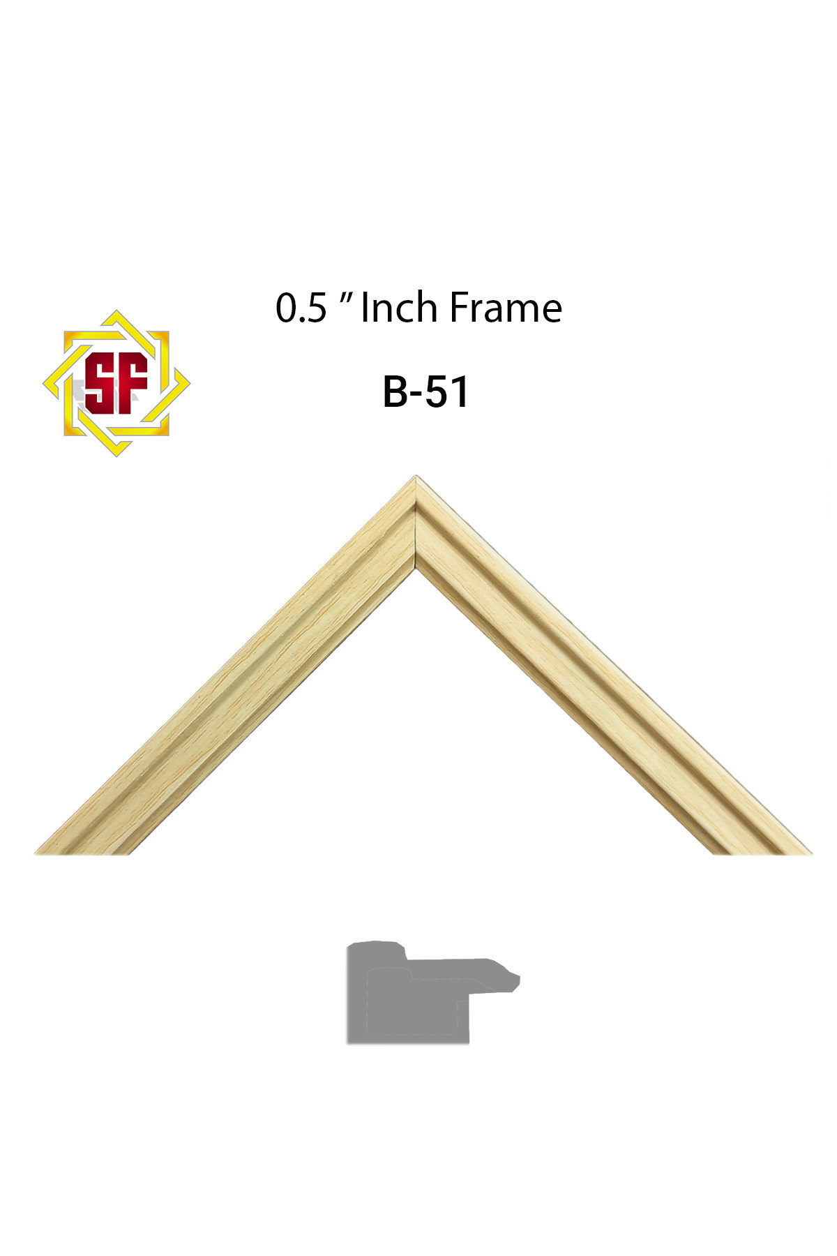 B-51 frame sample